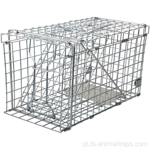 Armadilha de esquilo colapsível Humane Live Squirrel Cage Trap